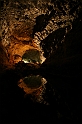 Kanary_2010 346